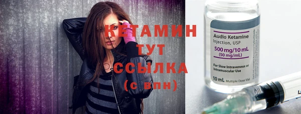 прущие грибы Дмитров