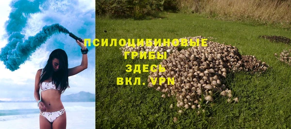 соль курить ск Гусев