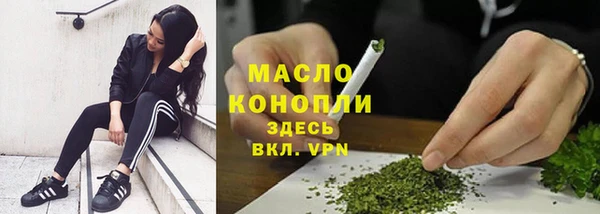 гашик Дмитриев