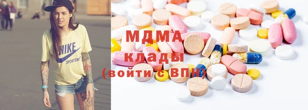 прущие грибы Дмитров