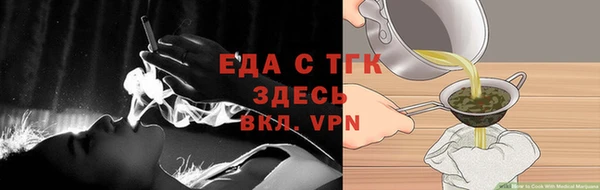 гашик Дмитриев
