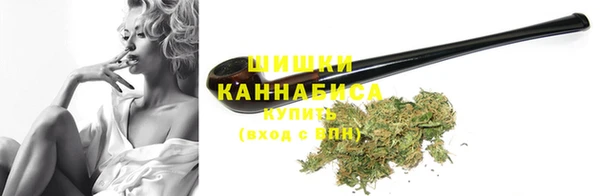прущие грибы Дмитров