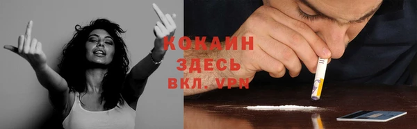 соль курить ск Дмитровск