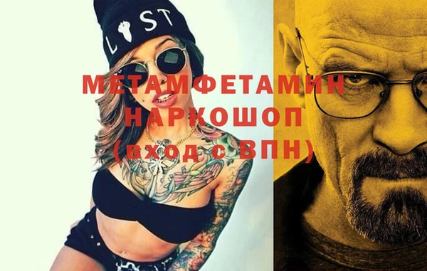 прущие грибы Дмитров