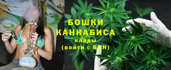 прущие грибы Дмитров