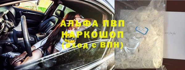 прущие грибы Дмитров