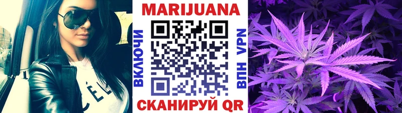 Бошки Шишки план Динская